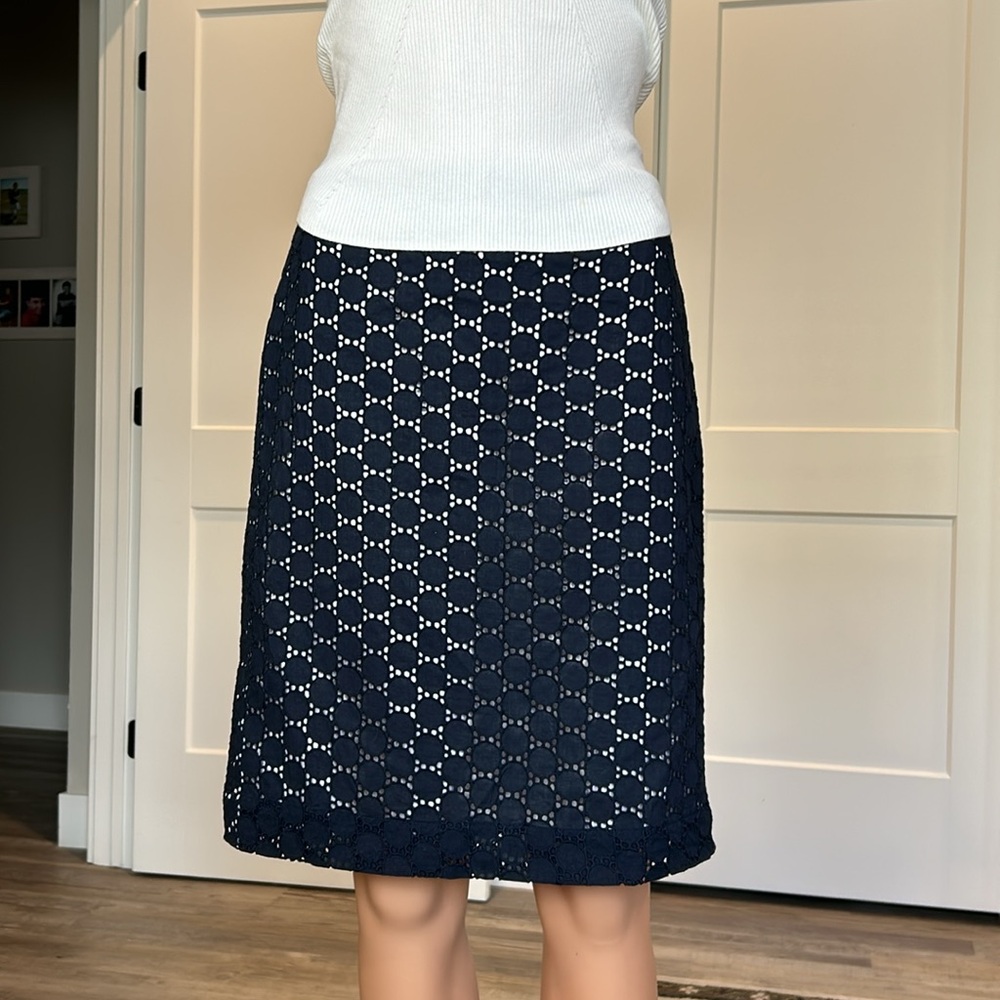 Ann Taylor Loft skirt